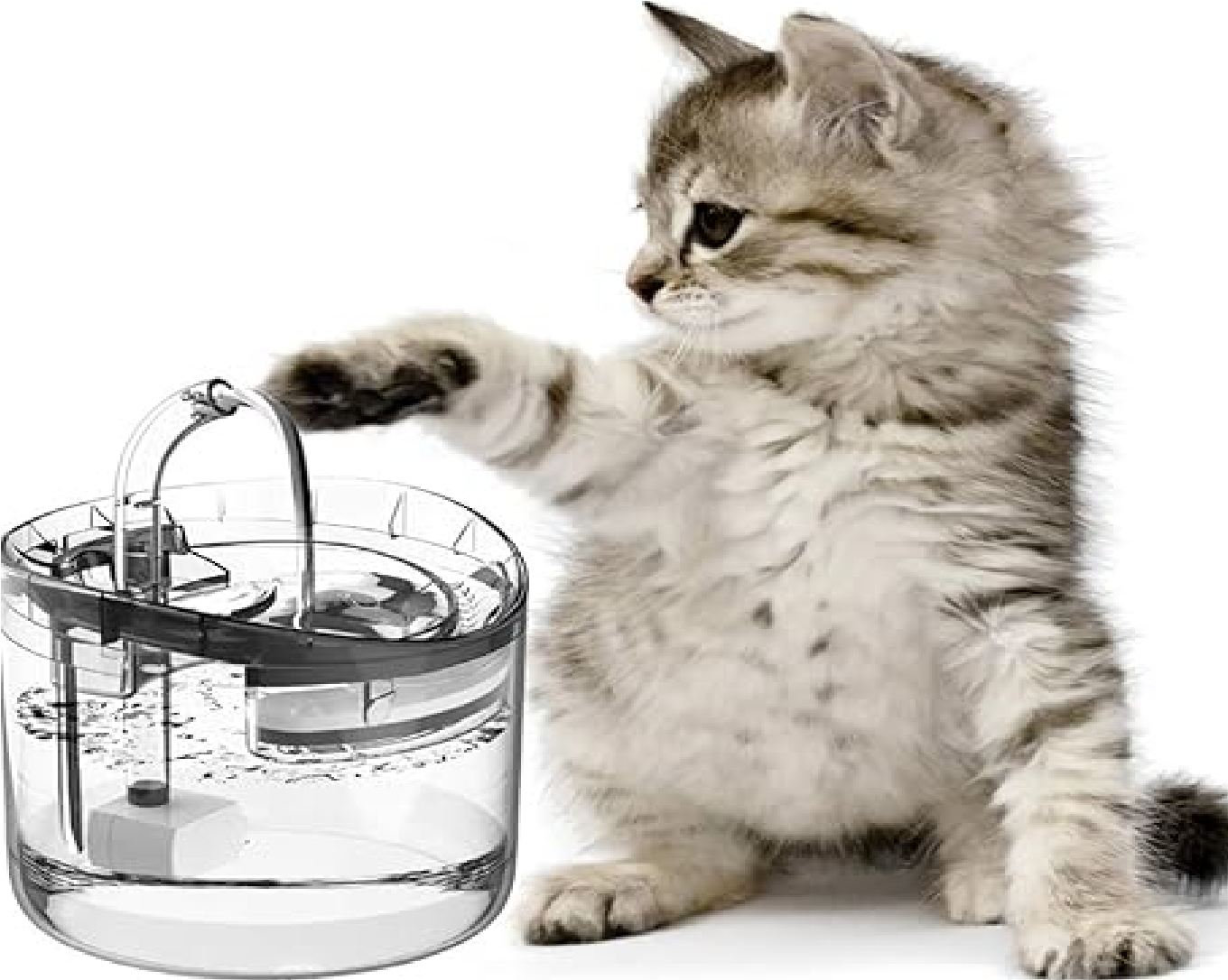 Fuente Bebedero Gato