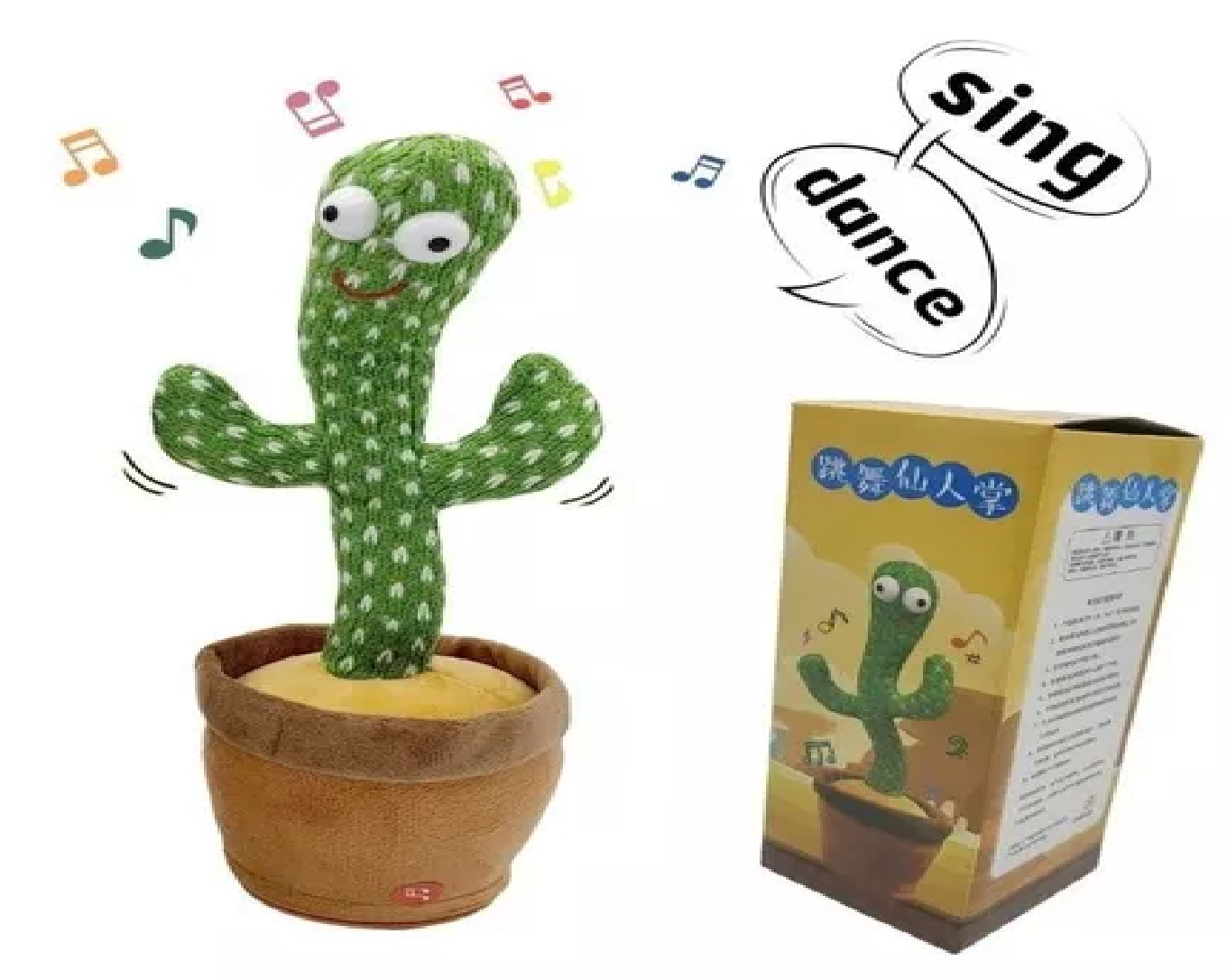 Cactus Bailarin Imita Voz